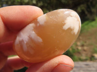 Polished Stunning Coral Flower Agate Gallets x 24 From Madagascar - TopRock