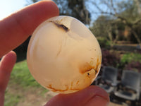 Polished Stunning Coral Flower Agate Gallets x 24 From Madagascar - TopRock