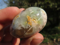 Polished Stunning Coral Flower Agate Gallets x 24 From Madagascar - TopRock