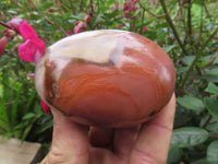 Polished Polychrome Jasper Gallets & Picasso Jasper All Palm Size - sold per 1 kg From Madagascar - TopRock