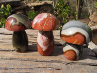 Polished Polychrome Jasper Mushrooms  x 6 From Mahajanga, Madagascar