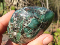 Polished Rare Emerald Mica In Matrix Galet-Palm Stones x 6 From Mutoko, Zimbabwe