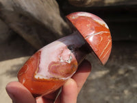 Polished Polychrome Jasper Mushrooms  x 6 From Mahajanga, Madagascar