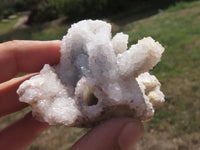 Natural Rare Hollow "Snow" Quartz Clusters  x 12 From Alberts Mountain, Lesotho - TopRock