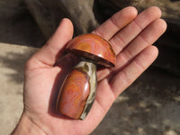 Polished Polychrome Jasper Mushrooms  x 6 From Mahajanga, Madagascar