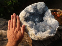 Natural XXL Gemmy Blue Double Barrelled Celestite Geode  x 1 From Sakoany, Madagascar - Toprock Gemstones and Minerals 