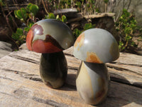 Polished Polychrome Jasper Mushrooms  x 6 From Mahajanga, Madagascar