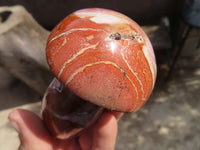 Polished Polychrome Jasper Mushrooms  x 6 From Mahajanga, Madagascar