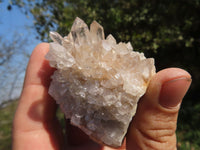 Natural Small Intact Optic Quartz Clusters x 24 From Madagascar - TopRock