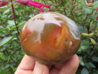 Polished Polychrome Jasper Gallets & Picasso Jasper All Palm Size - sold per 1 kg From Madagascar - TopRock