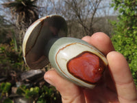 Polished Polychrome Jasper Mushrooms  x 6 From Mahajanga, Madagascar