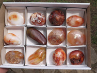 Polished Carnelian Agate Palm Stones  x 12 From Madagascar - TopRock