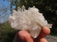 Natural Small Intact Optic Quartz Clusters x 24 From Madagascar - TopRock