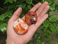 Polished Carnelian Agate Palm Stones  x 12 From Madagascar - TopRock