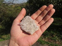 Natural Small Intact Optic Quartz Clusters x 24 From Madagascar - TopRock