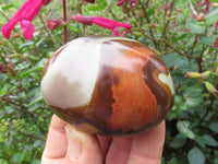 Polished Polychrome Jasper Gallets & Picasso Jasper All Palm Size - sold per 1 kg From Madagascar - TopRock