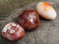 Polished Carnelian Agate Palm Stones  x 12 From Madagascar - TopRock