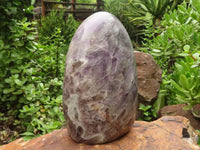 Polished Smokey Flower Amethyst Standing Free Form  x 1 From Madagascar - TopRock