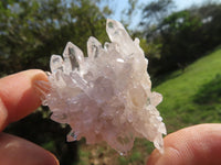 Natural Small Intact Optic Quartz Clusters x 24 From Madagascar - TopRock