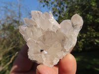 Natural Small Intact Optic Quartz Clusters x 24 From Madagascar - TopRock