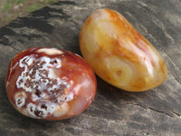 Polished Carnelian Agate Palm Stones  x 12 From Madagascar - TopRock