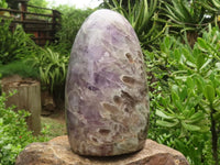 Polished Smokey Flower Amethyst Standing Free Form  x 1 From Madagascar - TopRock