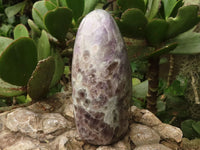 Polished Smokey Flower Amethyst Standing Free Form  x 1 From Madagascar - TopRock