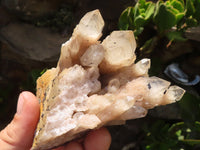 Natural Cascading White Phantom Quartz Clusters  x 12 From Luena, Congo - Toprock Gemstones and Minerals 