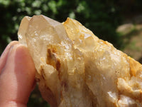 Natural Cascading White Phantom Quartz Clusters  x 12 From Luena, Congo - Toprock Gemstones and Minerals 