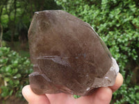 Natural Large Smokey Quartz Crystals  x 3 From Malawi - TopRock