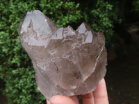 Natural Large Smokey Quartz Crystals  x 3 From Malawi - TopRock