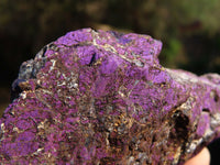 Natural Rough Purpurite Specimens x 2 From Erongo, Namibia - TopRock