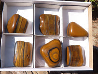 Polished Golden Tigers Eye Free Forms x 6 From Prieska, Northern Cape