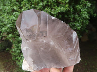 Natural Large Smokey Quartz Crystals  x 3 From Malawi - TopRock