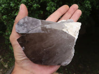 Natural Large Smokey Quartz Crystals  x 3 From Malawi - TopRock