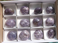 Polished Purple Lepidolite Palm Stones  x 12 From Madagascar - TopRock