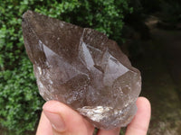 Natural Large Smokey Quartz Crystals  x 3 From Malawi - TopRock