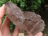 Natural Large Smokey Quartz Crystals  x 3 From Malawi - TopRock