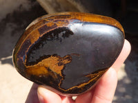 Polished Golden Tigers Eye Free Forms x 6 From Prieska, Northern Cape