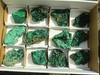 Natural Chatoyant Silky Malachite Specimens  x 12 From Kasompe, Congo - Toprock Gemstones and Minerals 