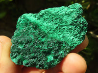 Natural Chatoyant Silky Malachite Specimens  x 12 From Kasompe, Congo - Toprock Gemstones and Minerals 