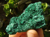 Natural Chatoyant Silky Malachite Specimens  x 12 From Kasompe, Congo - Toprock Gemstones and Minerals 