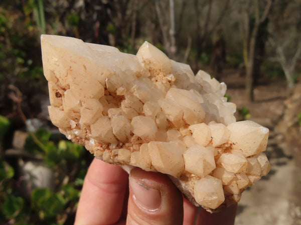 Natural Castle Quartz Clusters x 6 From Ivato, Madagascar