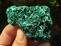 Natural Chatoyant Silky Malachite Specimens  x 12 From Kasompe, Congo - Toprock Gemstones and Minerals 