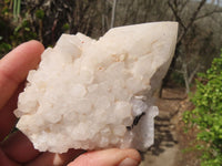 Natural Castle Quartz Clusters x 6 From Ivato, Madagascar