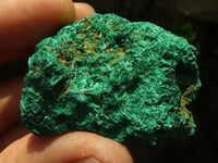 Natural Chatoyant Silky Malachite Specimens  x 12 From Kasompe, Congo - Toprock Gemstones and Minerals 