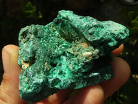 Natural Chatoyant Silky Malachite Specimens  x 12 From Kasompe, Congo - Toprock Gemstones and Minerals 