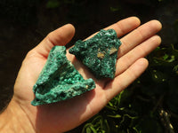 Natural Chatoyant Silky Malachite Specimens  x 12 From Kasompe, Congo - Toprock Gemstones and Minerals 