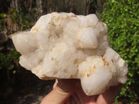 Natural Castle Quartz Clusters x 6 From Ivato, Madagascar