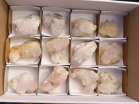 Natural White Cactus Flower Spirit Quartz Specimens x 12 From Boekenhouthoek, South Africa